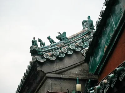 佛山 · 时令果园 · 采摘认养