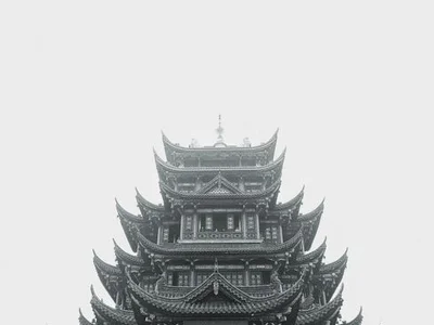 商洛 · 时令果园 · 采摘认养