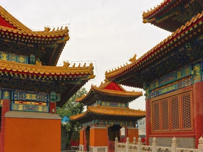 陕 · 鄠邑劳动实践 · 半天农活证明