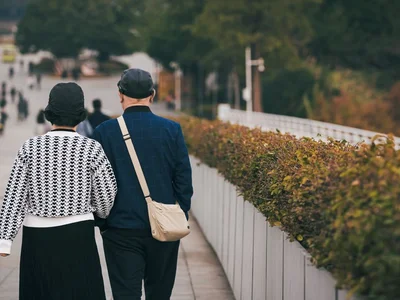 曲靖 · 土鸡蛋认养 · 周期自提
