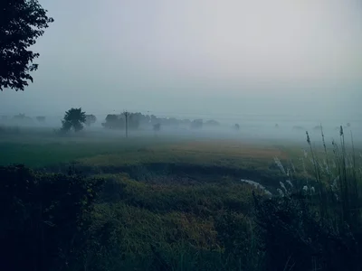 厦门 · 近郊亲子牧场 · 小动物接触